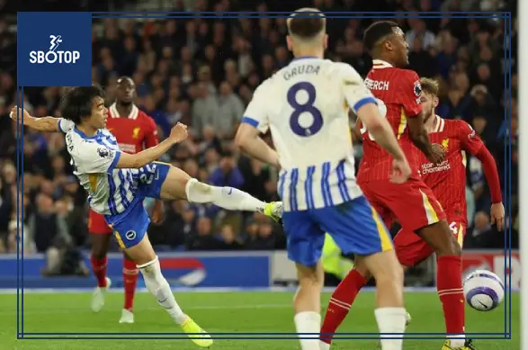 SBOTOP: Drama Unfolds in Brighton’s 3-2 Win Over Liverpool